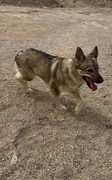 LOBITA Image 4